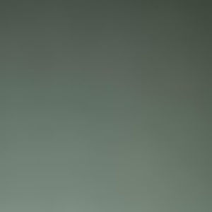 Meet your Posher, Evan